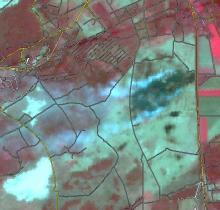DMC satellietbeeld van de grote natuurbrand op de Hoge Veluwe op 20 april 2014 omstreeks 11:30