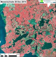 DMC satellietbeeld van 28 december 2014 met het areaal muizenschade