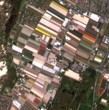 Formosat satellietbeeld van de bollensteek nabij noordwijk op 16 april 2014