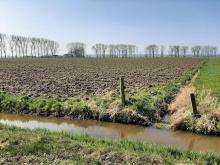 Grasland scheuren nabij Wageningen