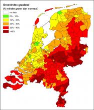 Droogte impact op grasland begin augustus