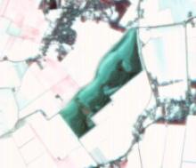 Fig. 4: Hondshalstermeer op DMC satellietbeeld van 28 januari 2014