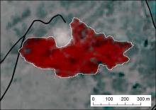 Groenindex verschilkaart tussen 21 april en 7 mei 2016 met in de witte omtrek het verbrande areaal (rood betekend minder groene biomassa op 7 mei)