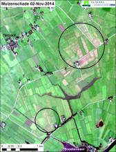 Spot satellietfoto van 2 november 2014 met muizenschade