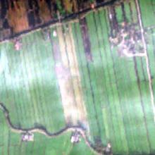 Spot satellietfoto van de weilanden met de laatste maaisnede van 2014